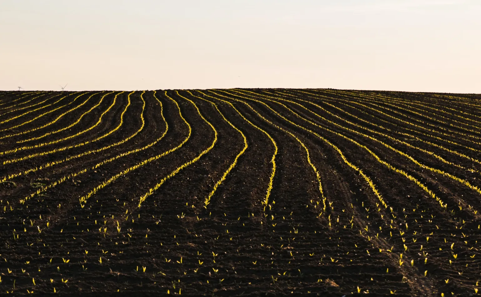 Industrial Biotech R&D